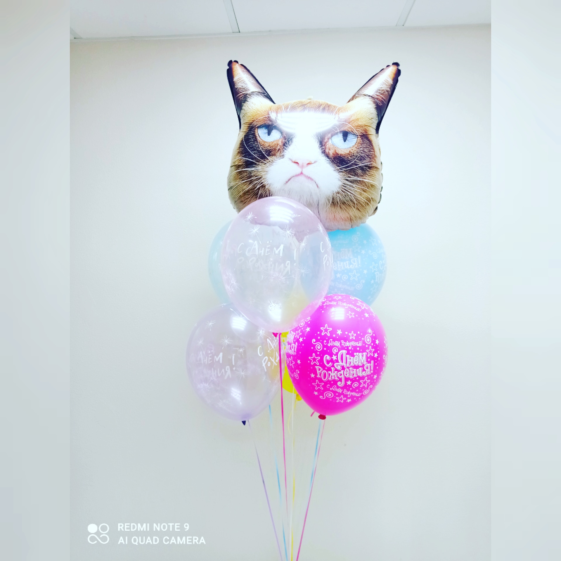 Сердитая кошка и 6 шаров с днем рождения