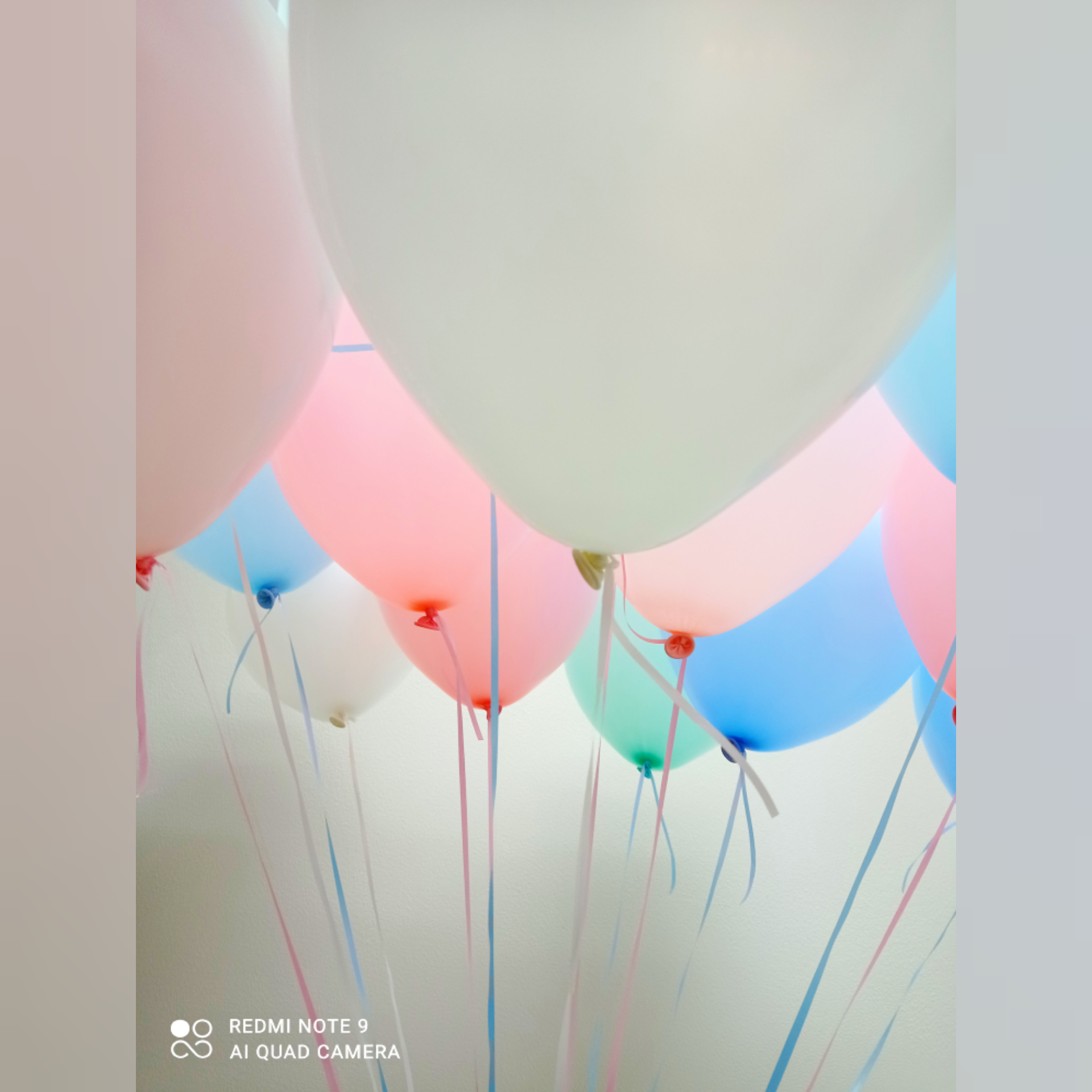 Букет шаров 50 шт  нежных оттенков