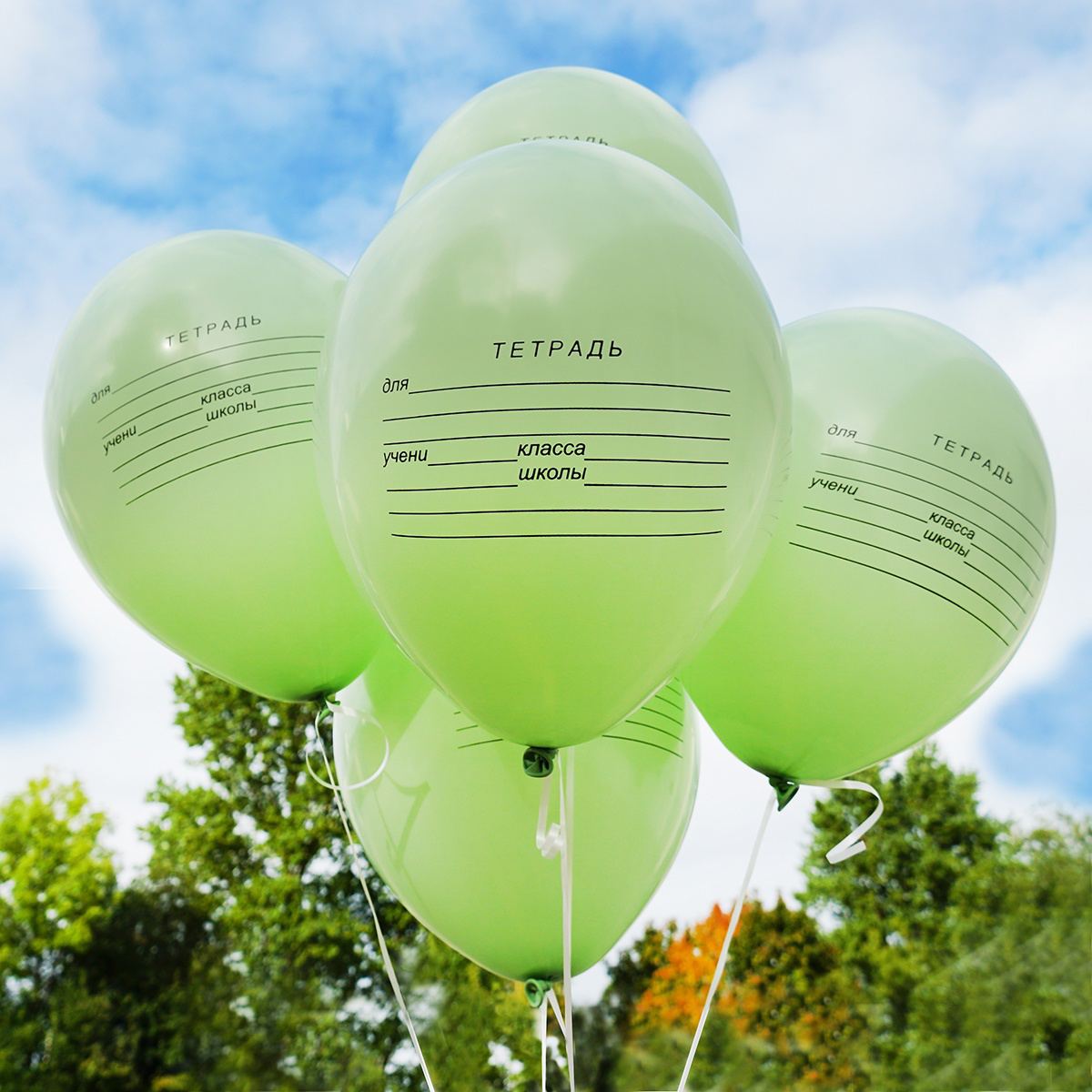 Шары Тетрадь