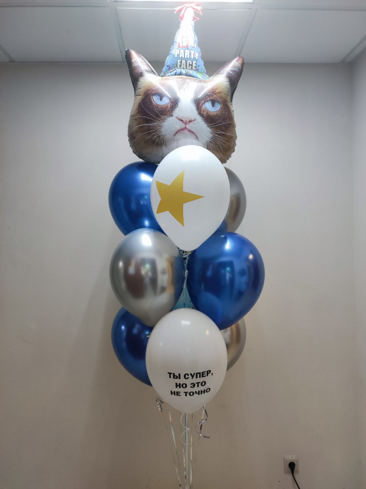 Сердитая кошка букет из 10 шаров