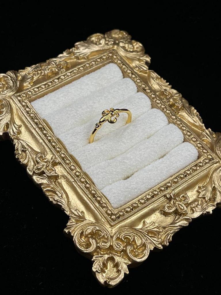 Кольцо «Этника, регулируемое»