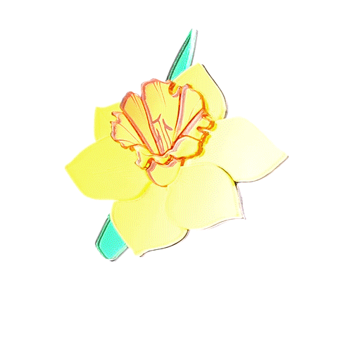 Брошь Нарцисс