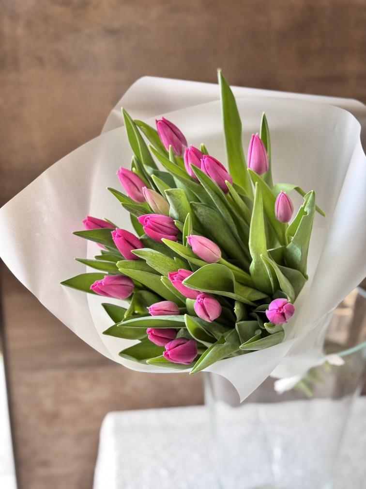Розовые Пинк Ардур тюльпаны 19 шт №005