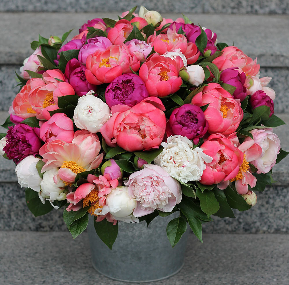 Букет из пионов №024