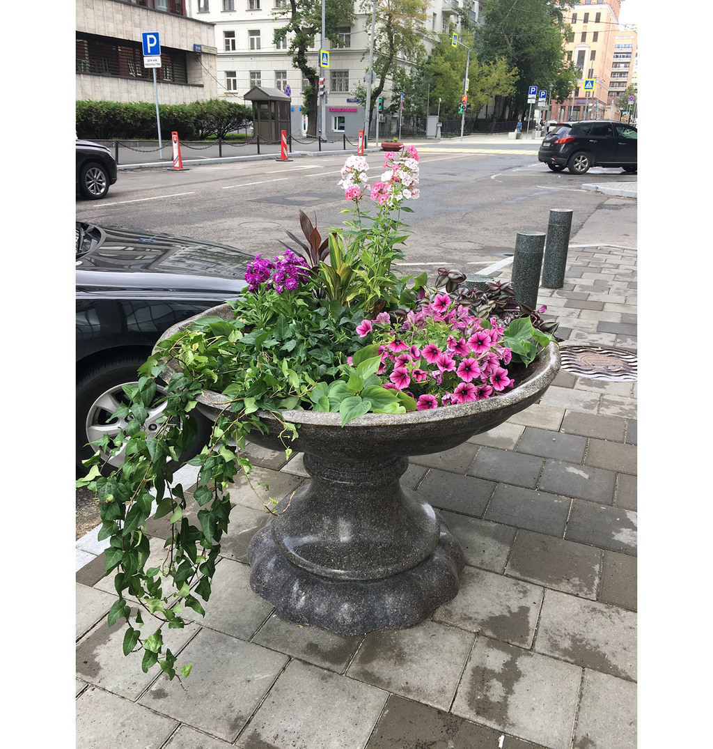 Уличное озеленение