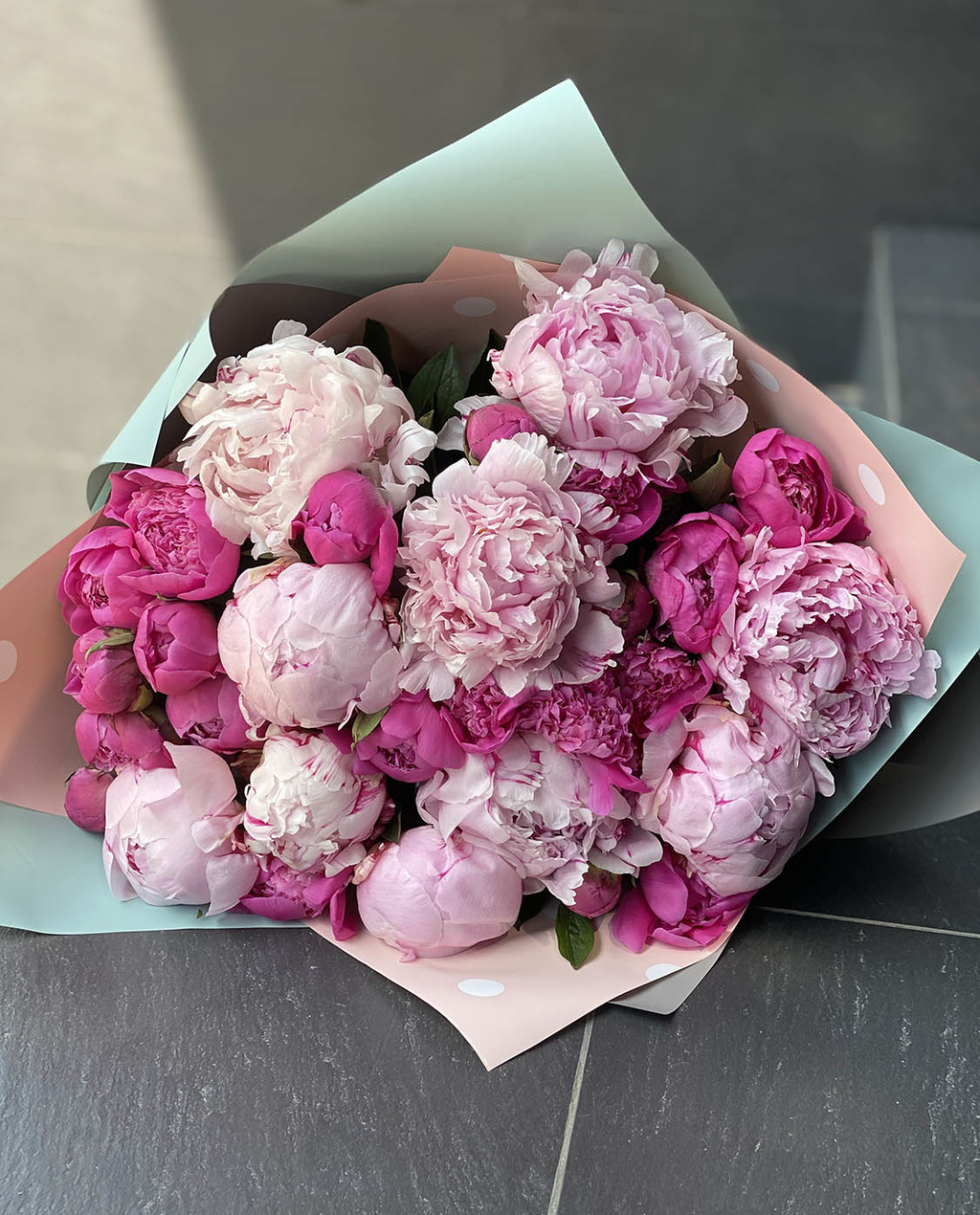 Российские пионы №213