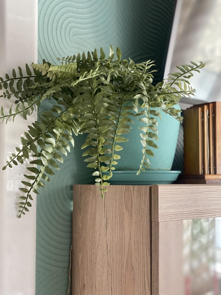 Папоротник в керамике (иск) №240