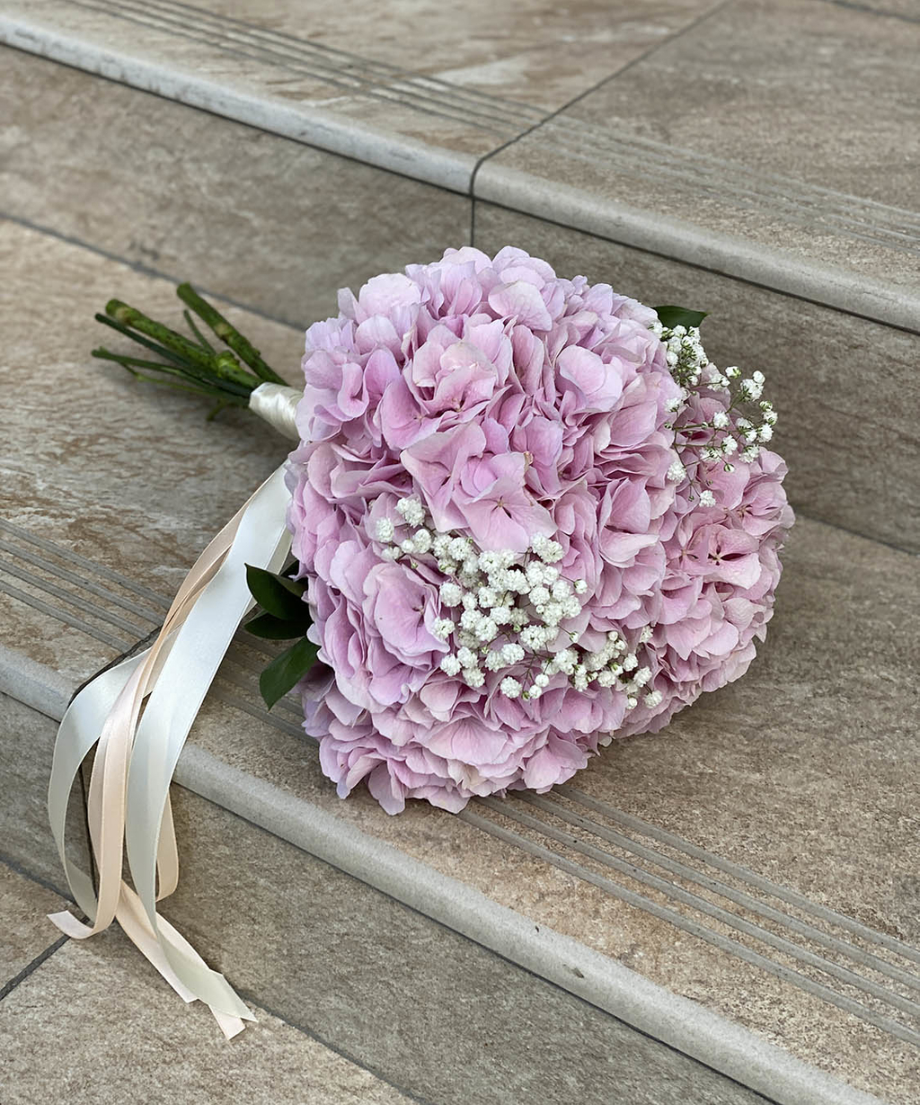 розова гортензия