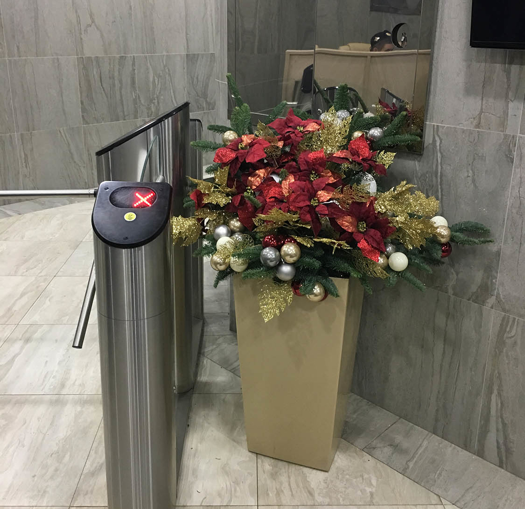 новогодняя из пуансетии