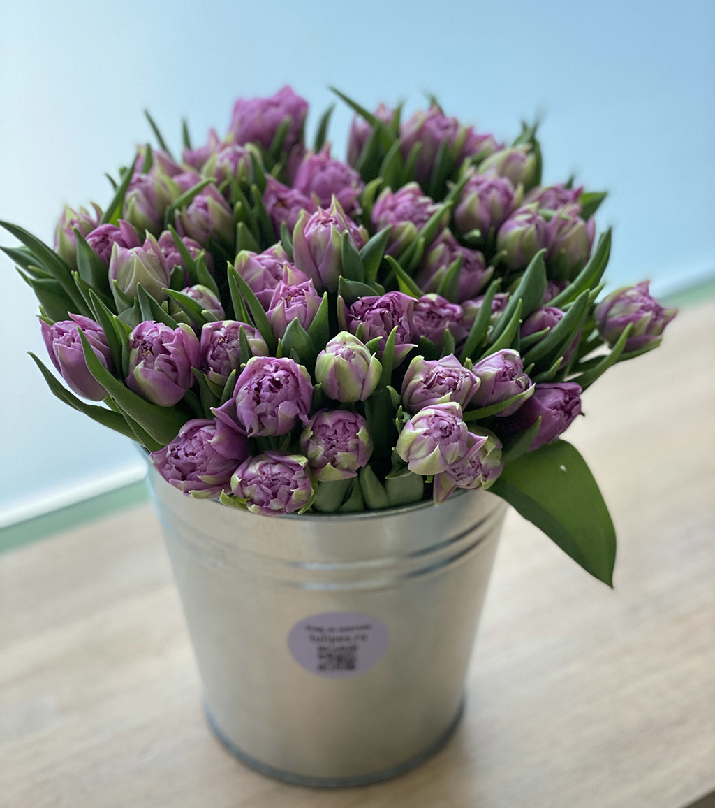 Лавандовые тюльпаны с ведром №586