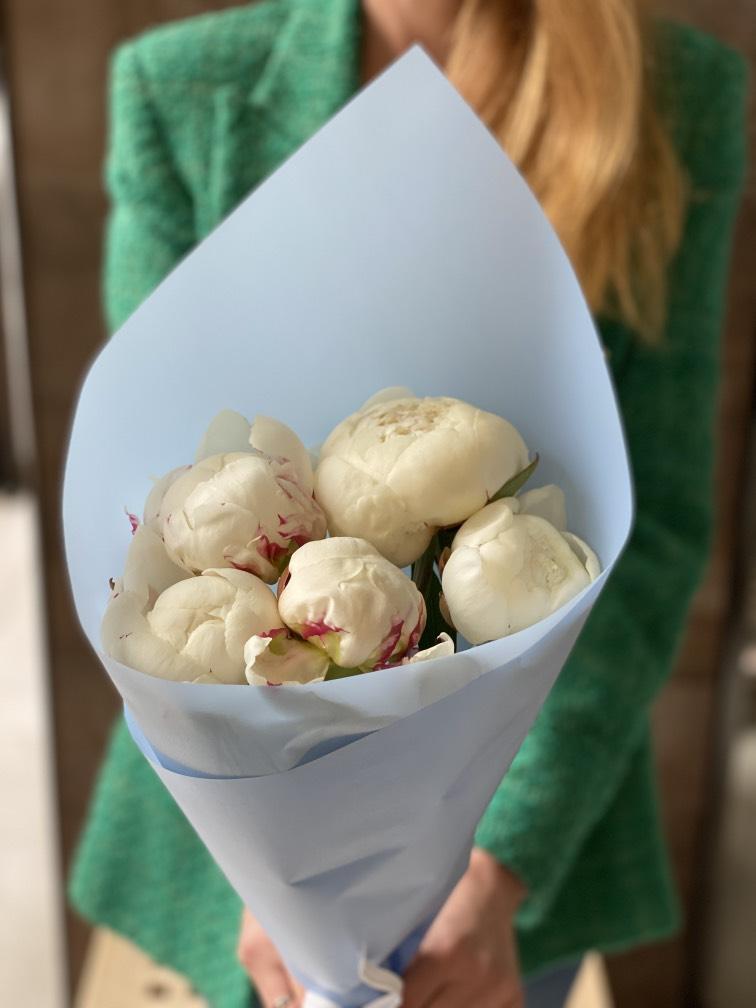 Белые Пионы 5 шт №990