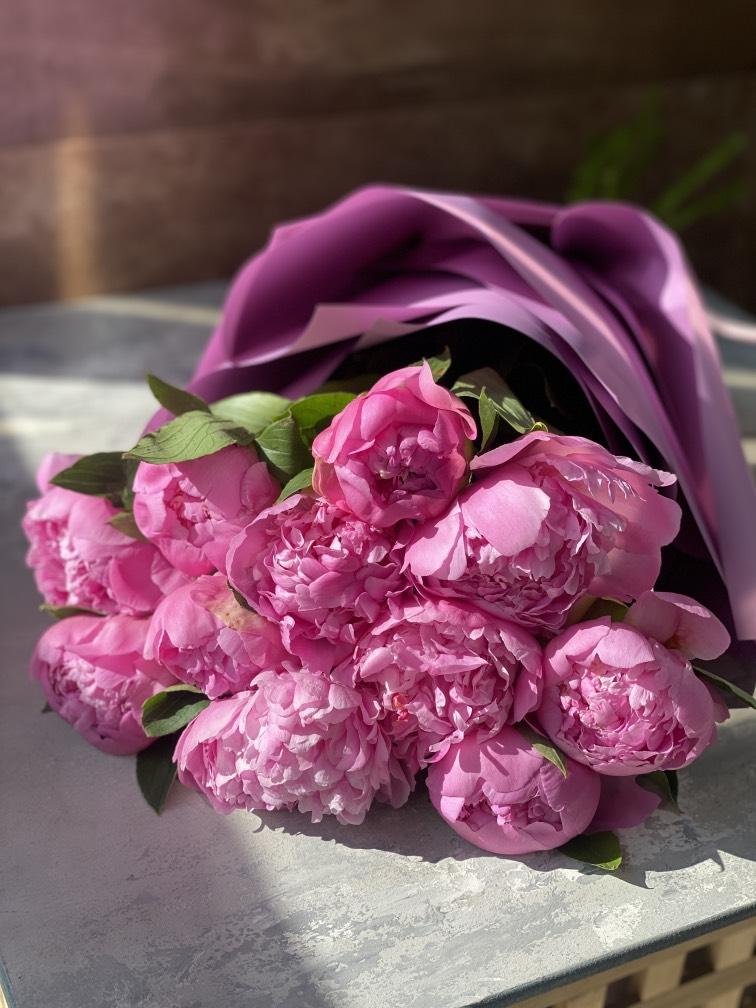 Бархатные пионы 11 шт №1002