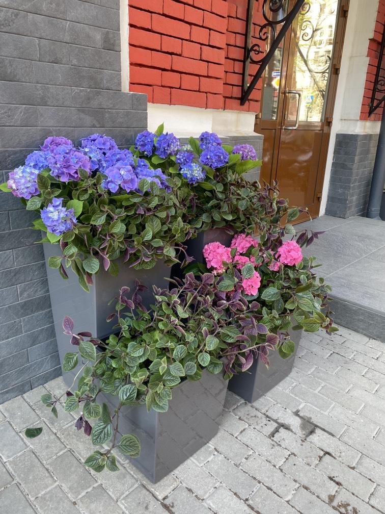 Уличное озеленение в горшках №1010