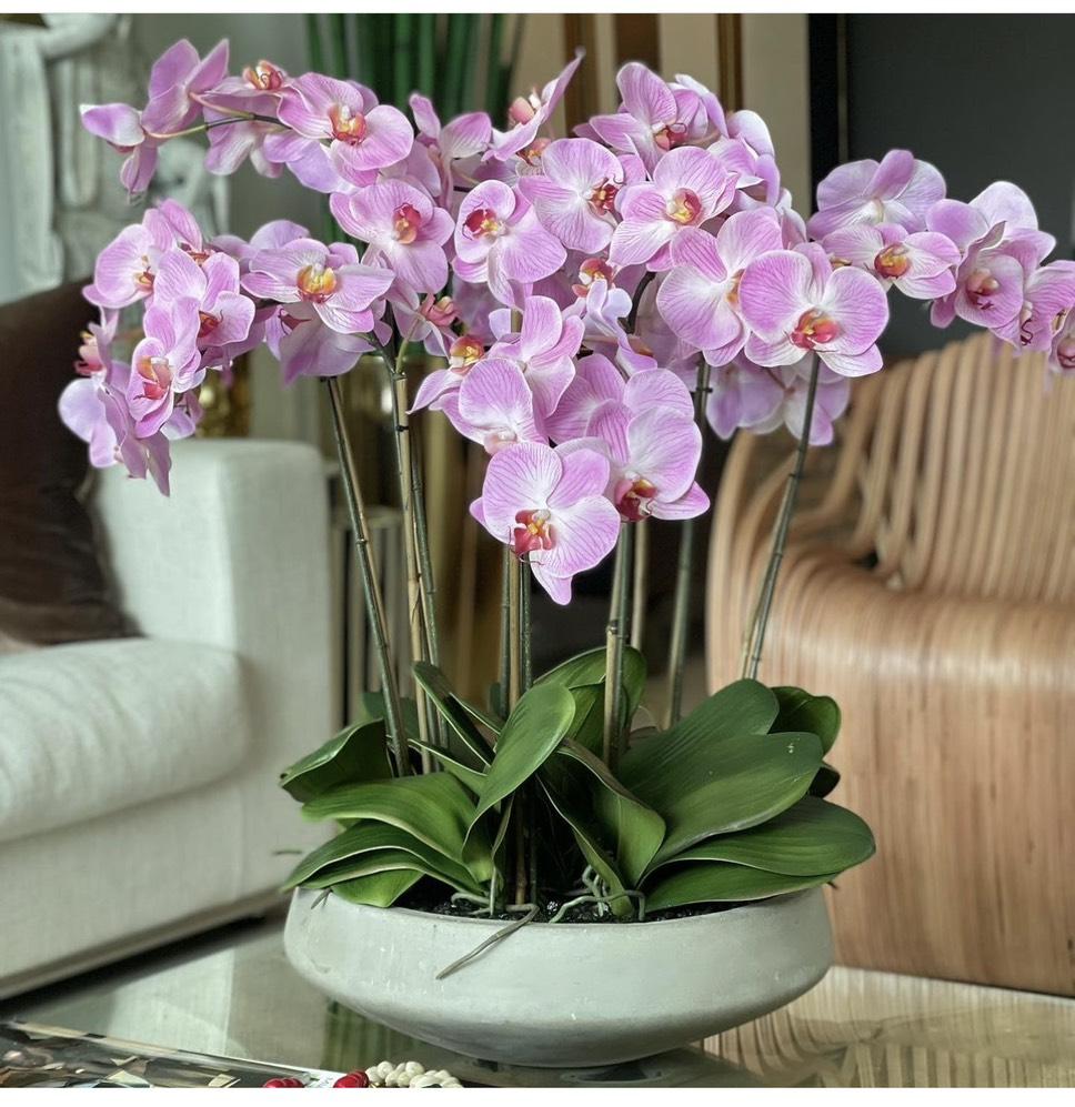 Розовые орхидеи (иск) №1063