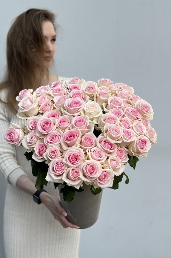 Роза Свит Ревайвал №1109