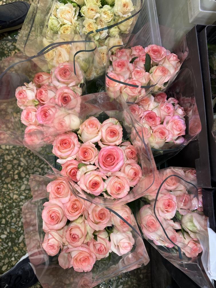 Роза Джумиля №1110