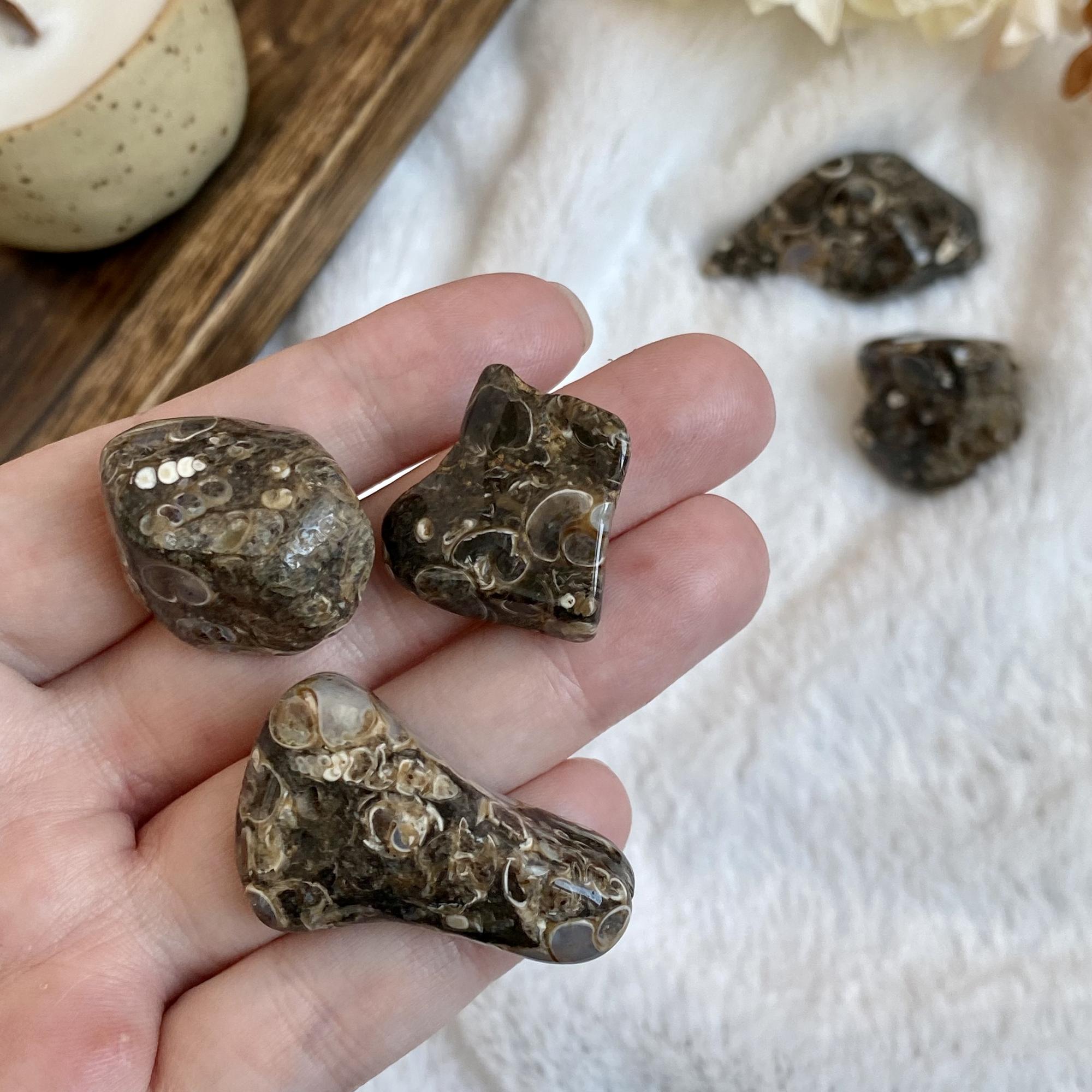 Галтовка черепахового агата