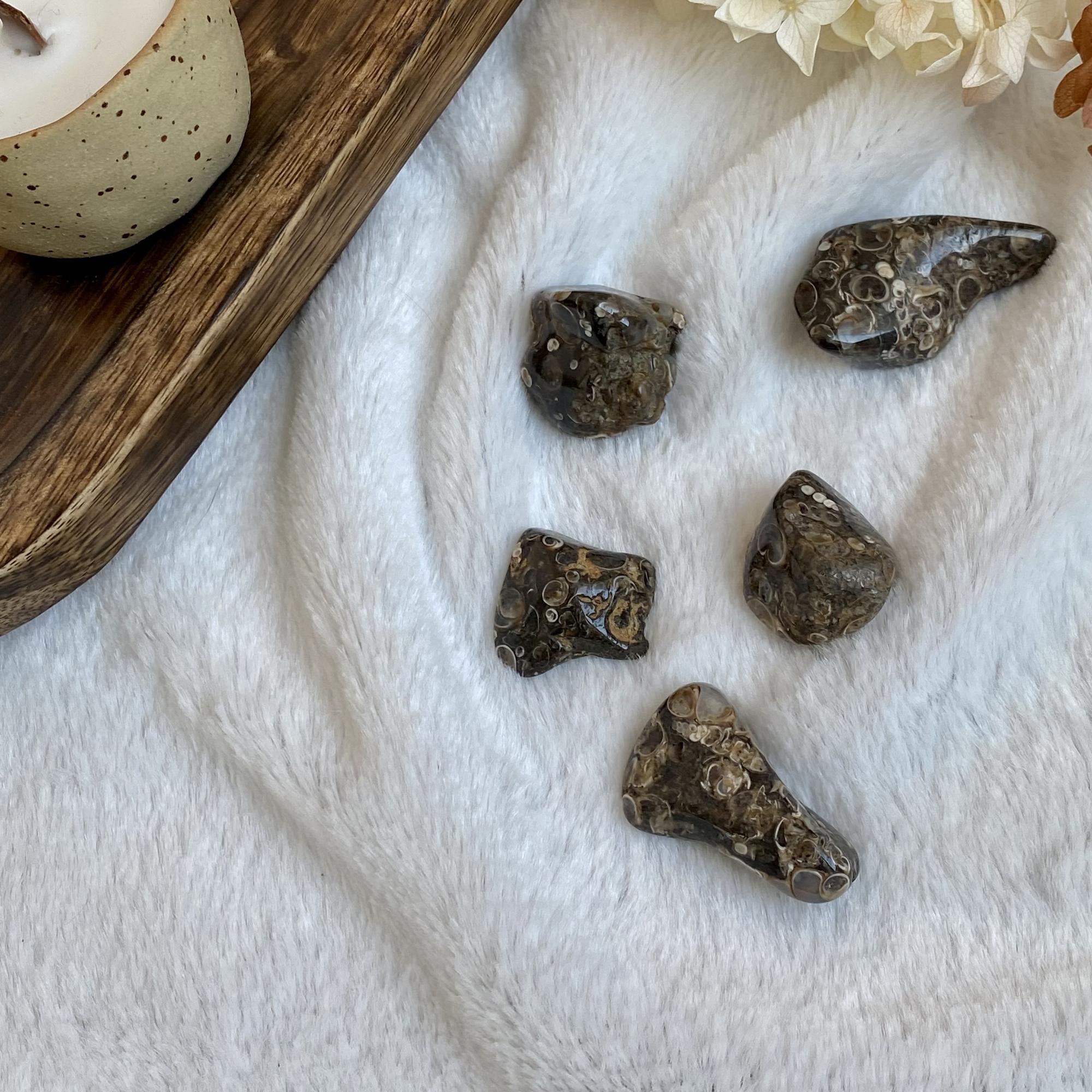 Галтовка черепахового агата