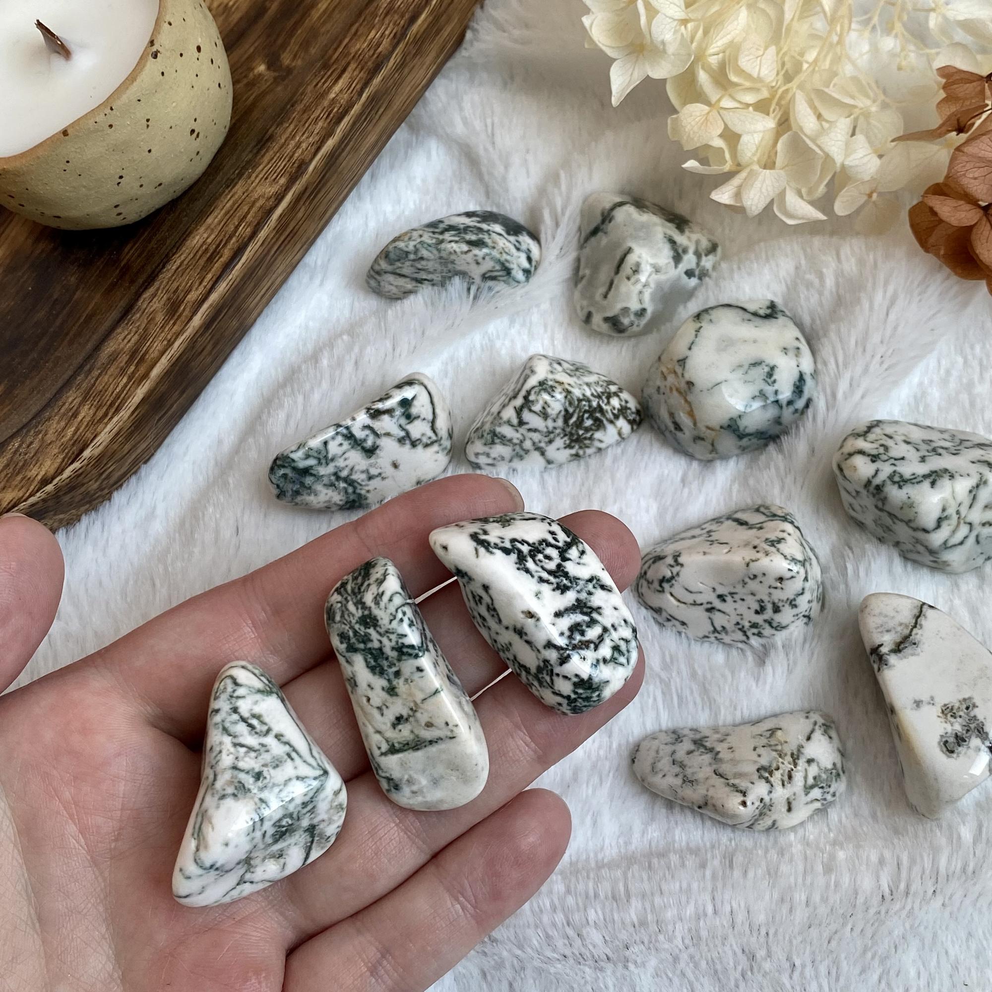 Галтовка водорослевого агата