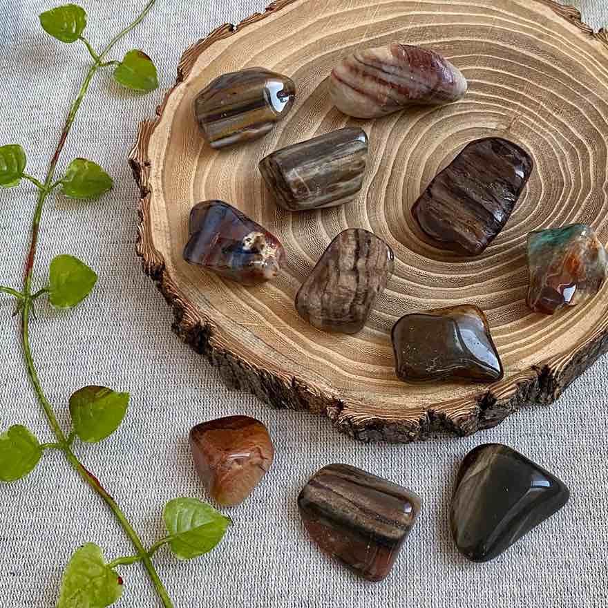 Галтовка окаменелого дерева