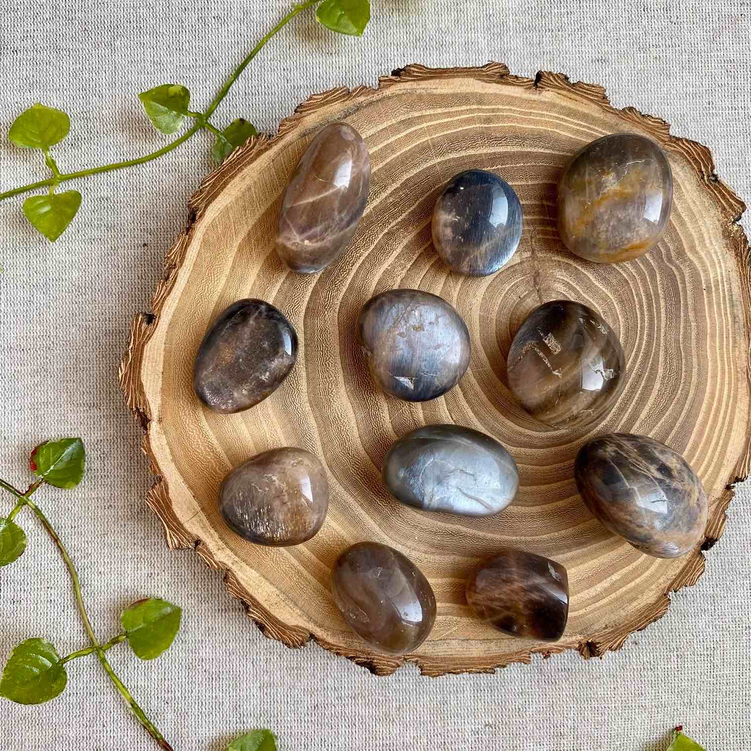 Галька лунно-солнечного камня