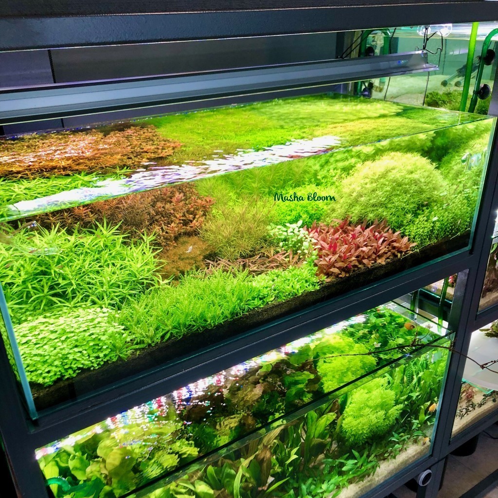 Консультация