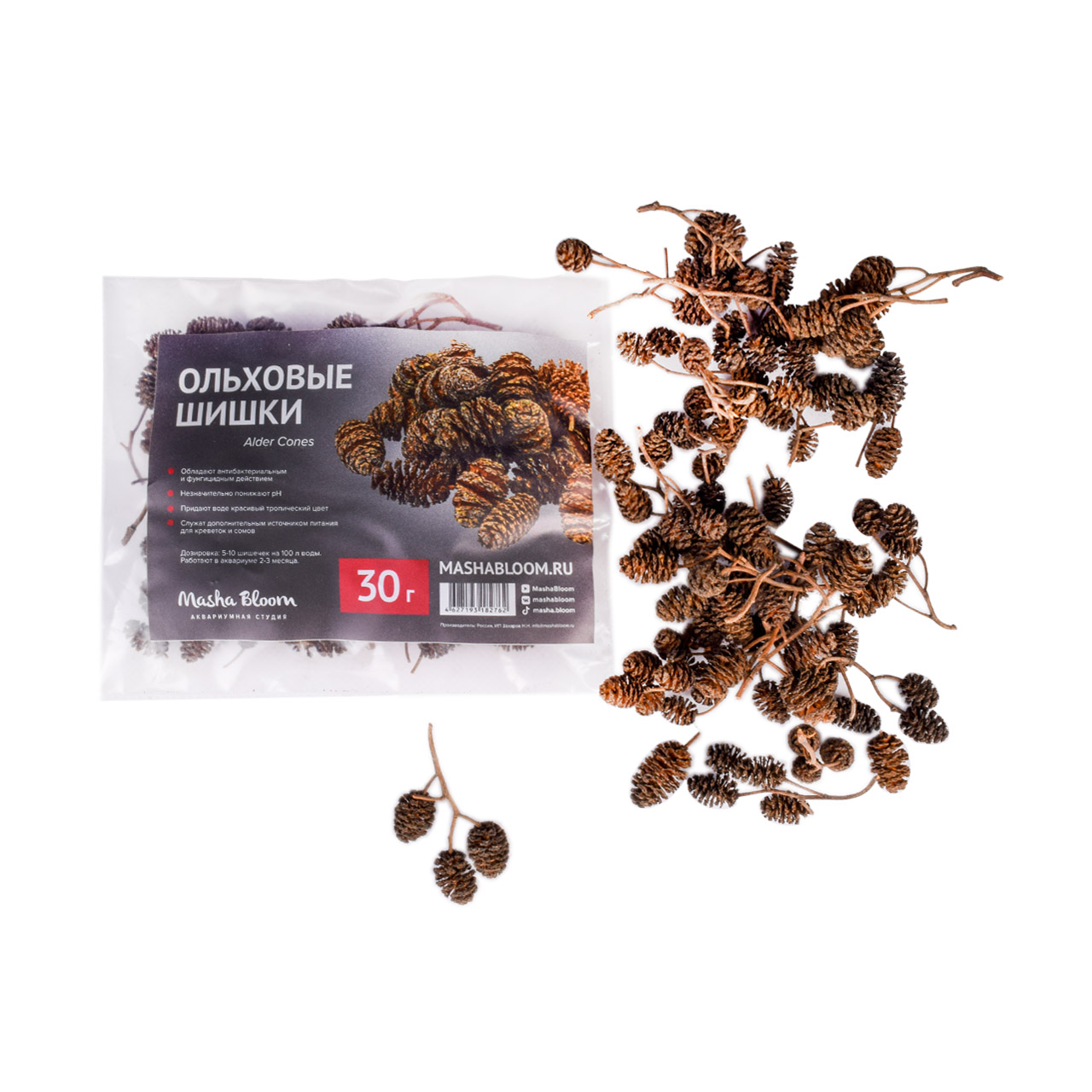 Шишки ольхи