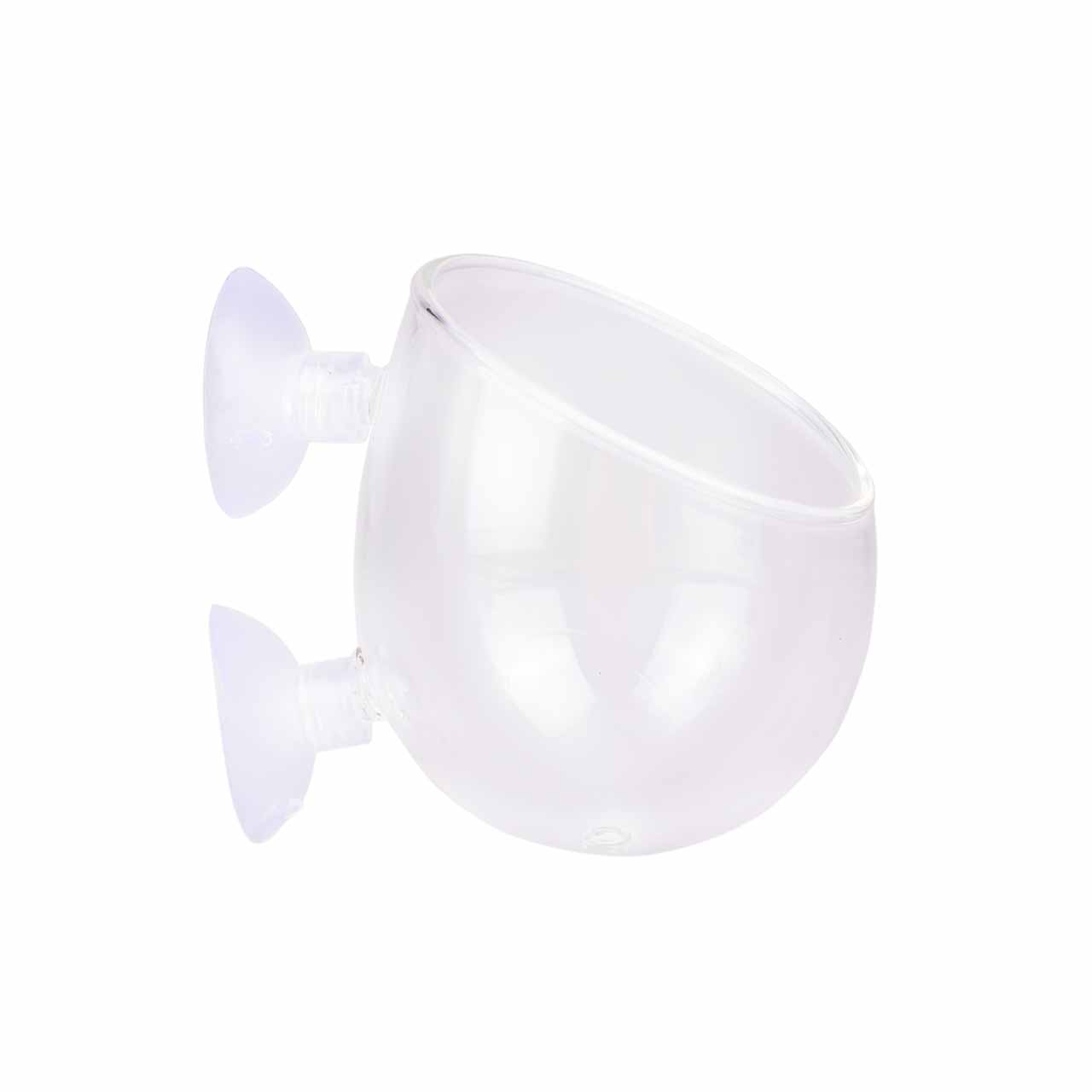 Горшок-кашпо для растений Plant Glass, стекло