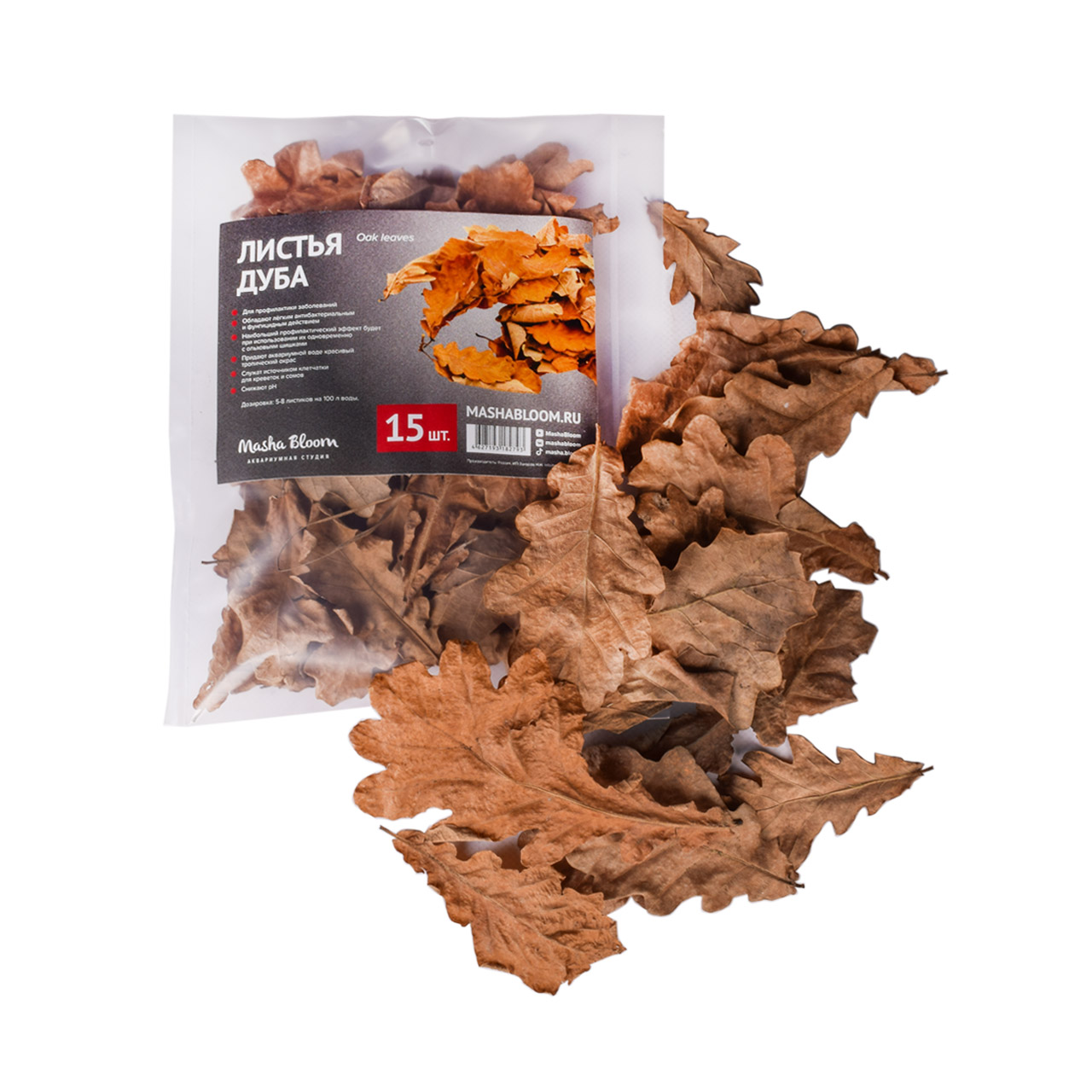 Листья дуба