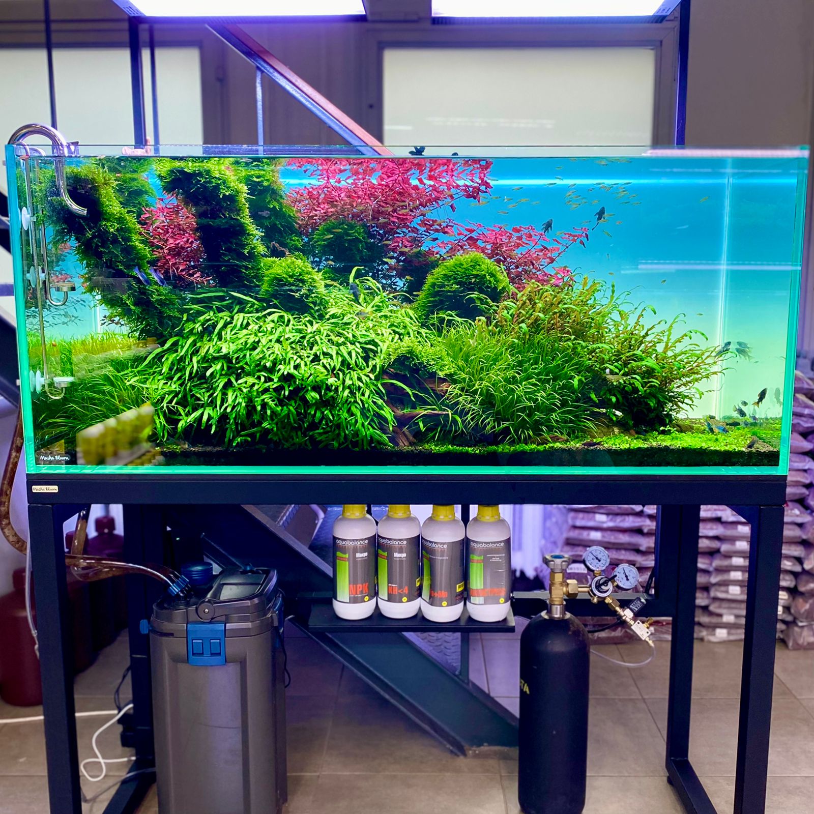 Фон MASHA BLOOM Северное сияние с подсветкой RGB 30х30 см