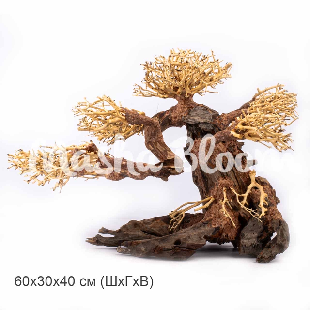 Дерево Masha Bloom Бонсай На ветру XL (влево)