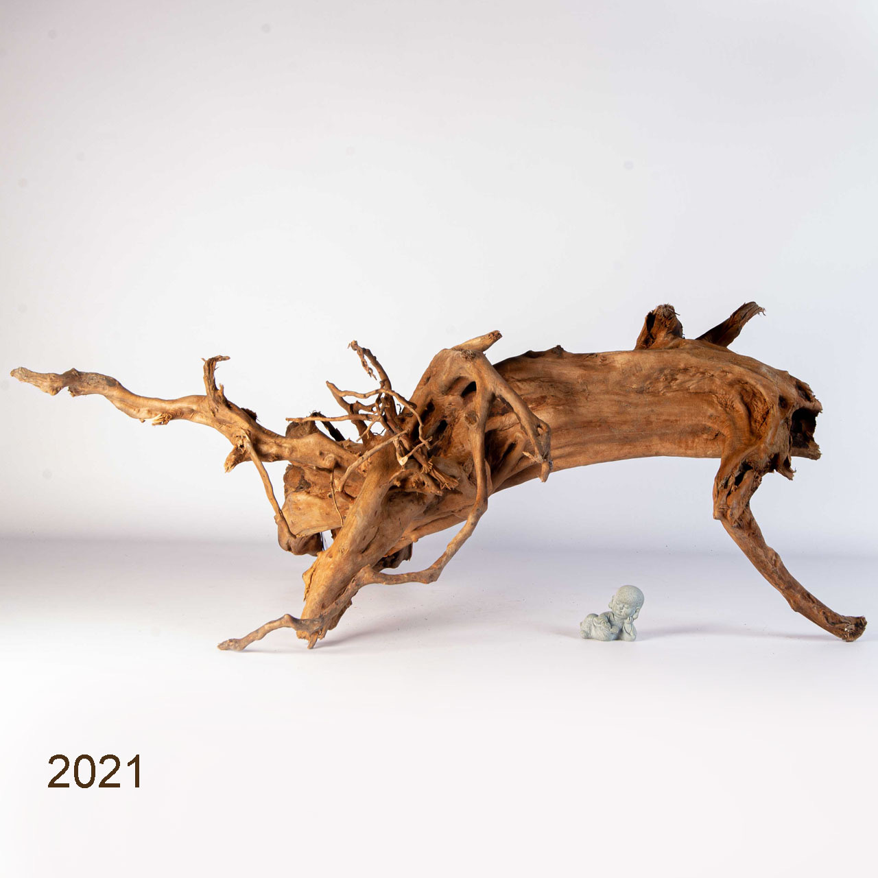 Коряга MASHA BLOOM Пенёчек с корнями 2021