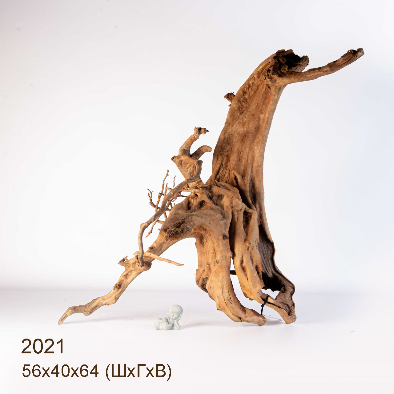 Коряга MASHA BLOOM Пенёчек с корнями 2021