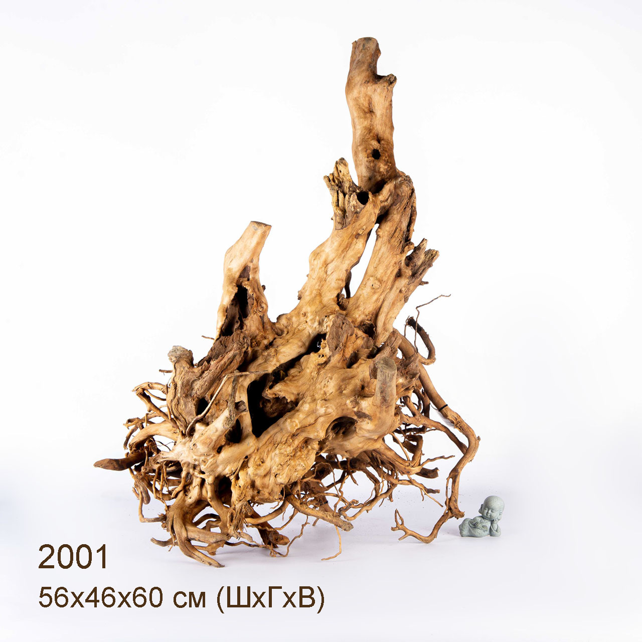 Коряга MASHA BLOOM Пенёчек с корнями 2001