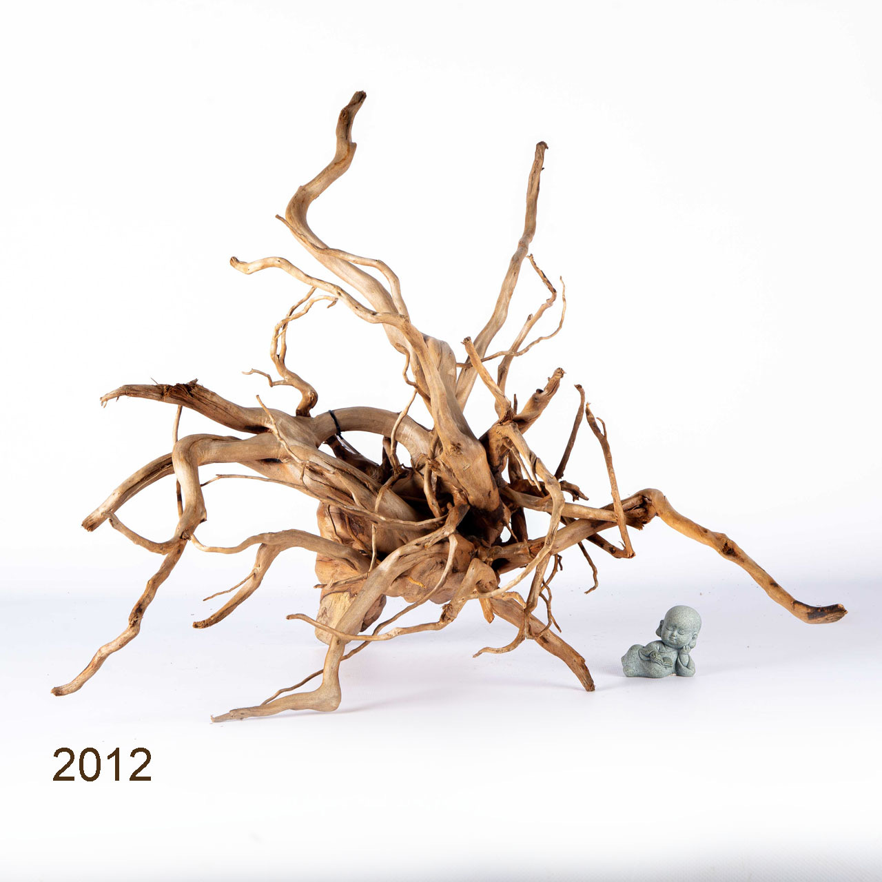 Коряга MASHA BLOOM Пенёчек с корнями 2012