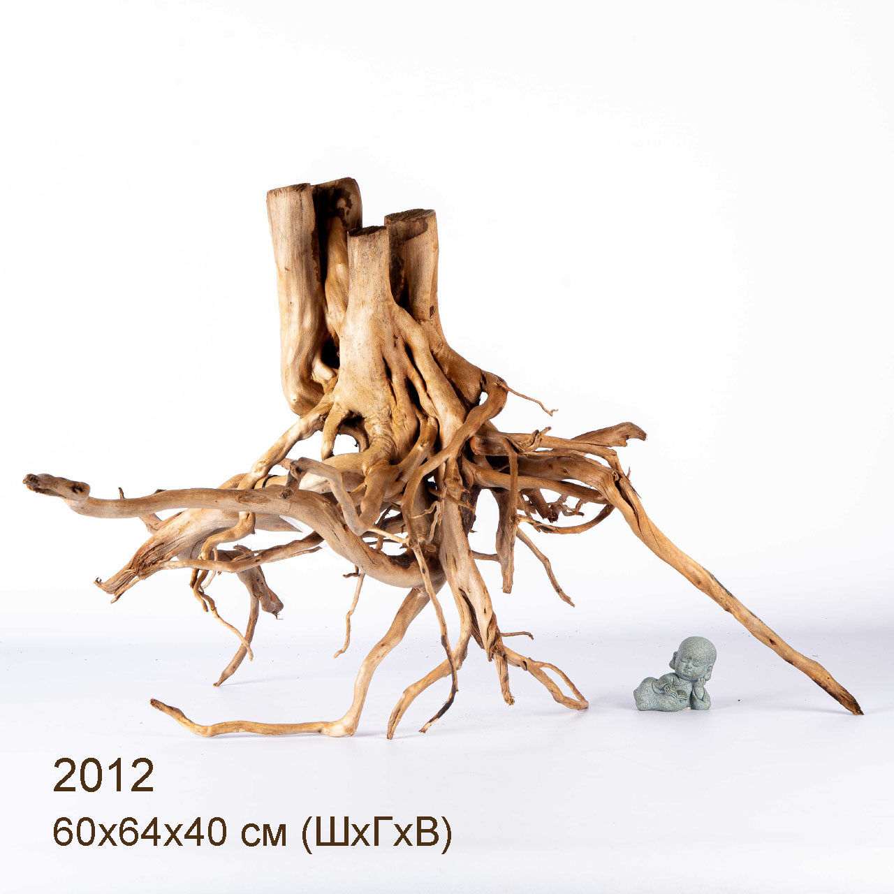 Коряга MASHA BLOOM Пенёчек с корнями 2012