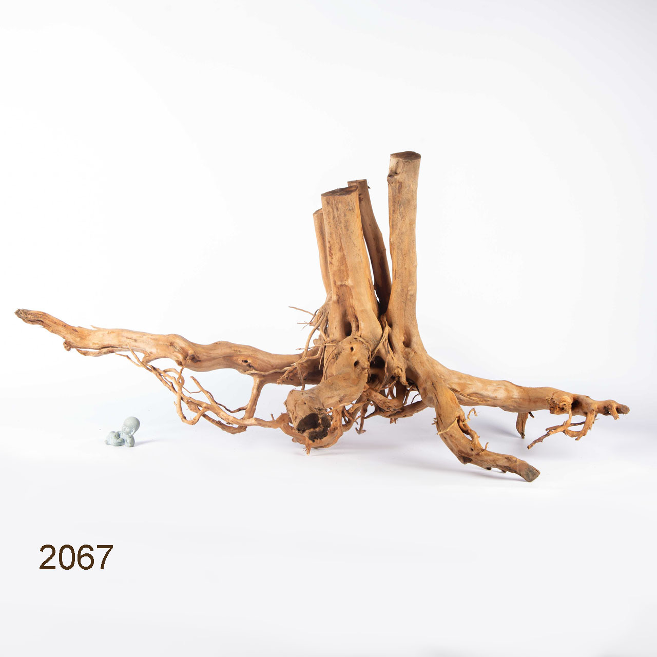 Коряга MASHA BLOOM Пенёчек с корнями 2067