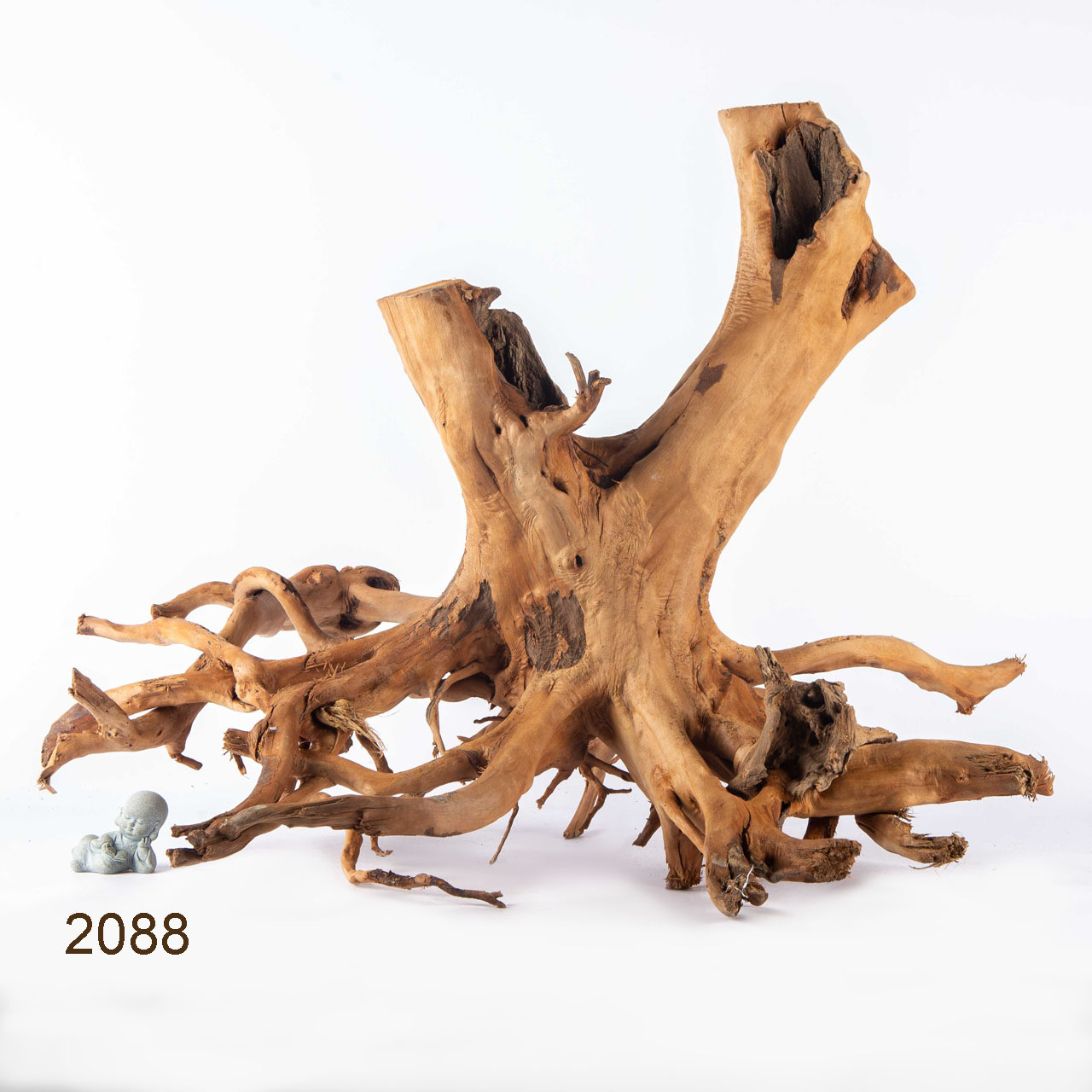 Коряга MASHA BLOOM Пенёчек с корнями 2088