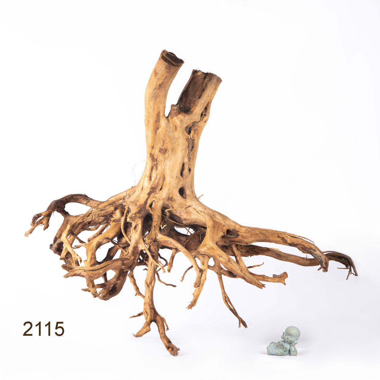 Коряга MASHA BLOOM Пенёчек с корнями 2115