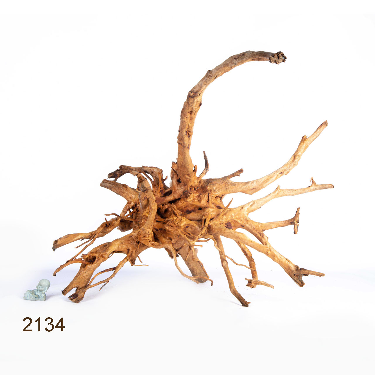 Коряга MASHA BLOOM Пенёчек с корнями 2134