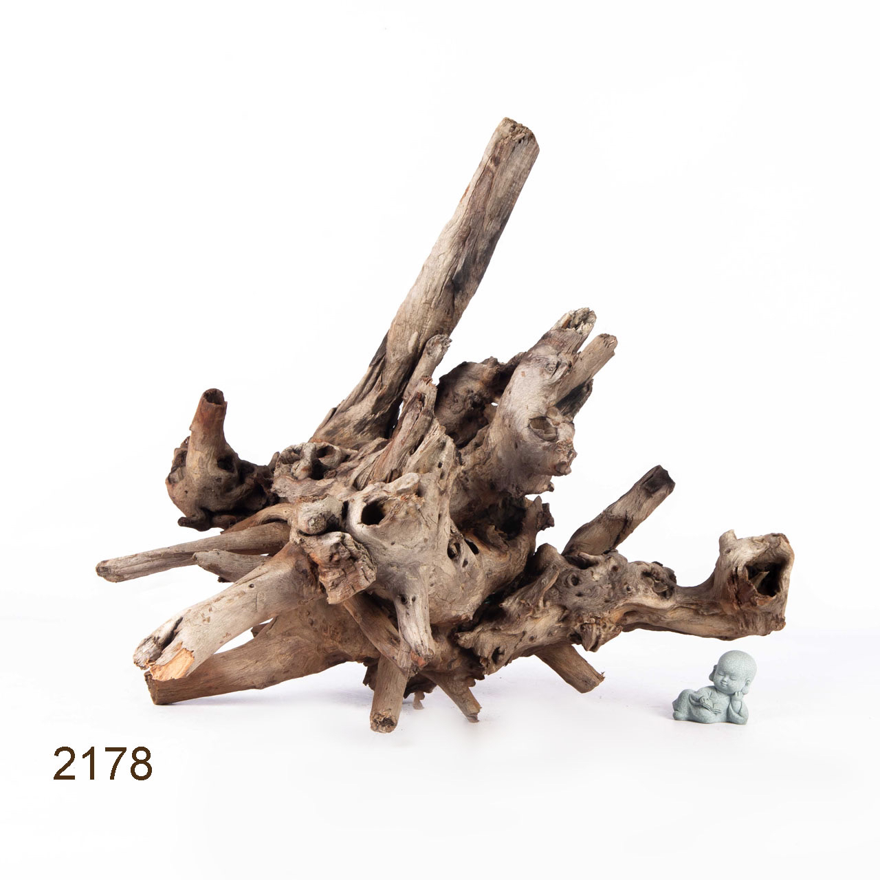 Коряга MASHA BLOOM "Железное дерево" затонувшая мангровая отборная 2178