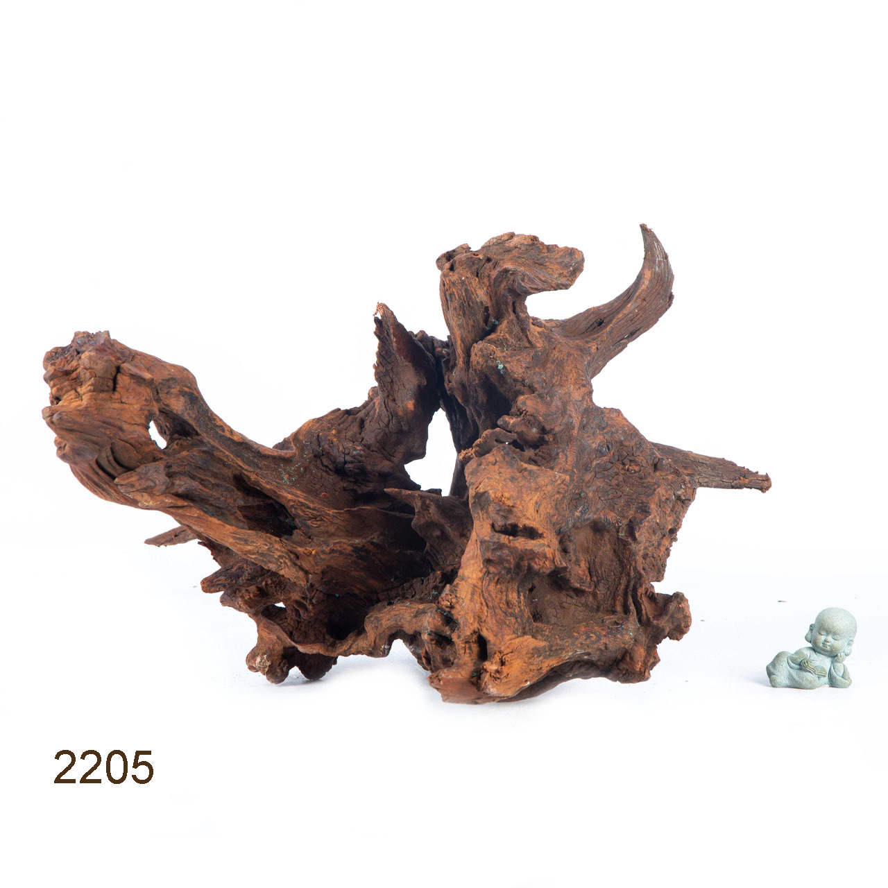 Коряга MASHA BLOOM "Железное дерево" затонувшая мангровая отборная 2205