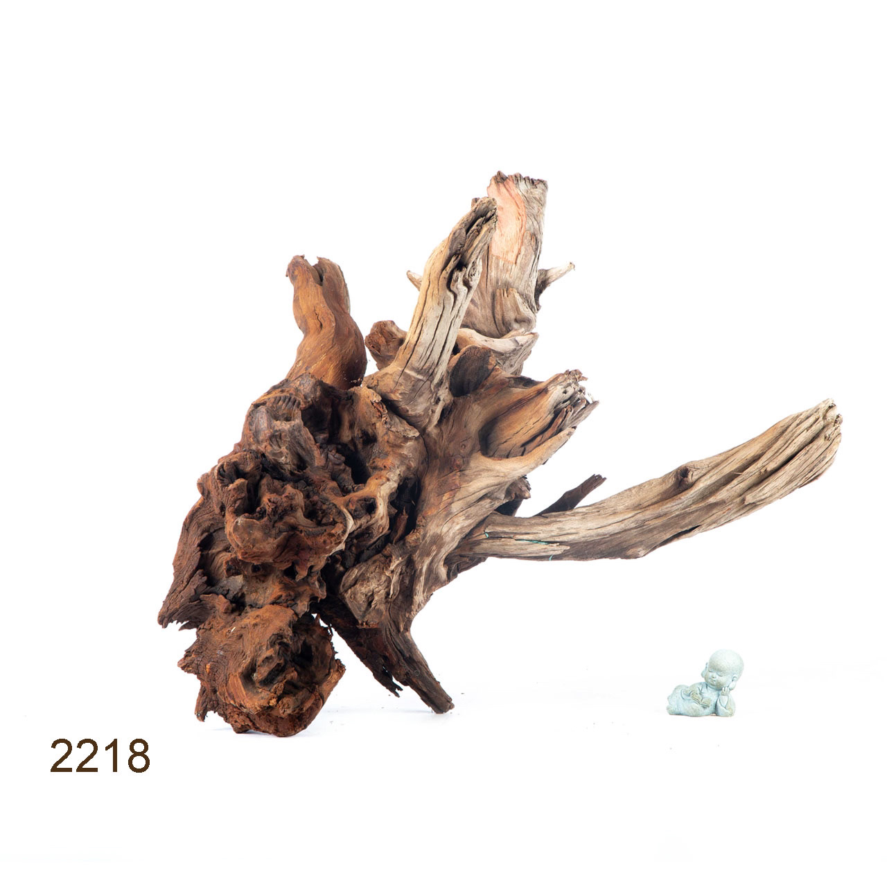 Коряга MASHA BLOOM "Железное дерево" затонувшая мангровая отборная 2218