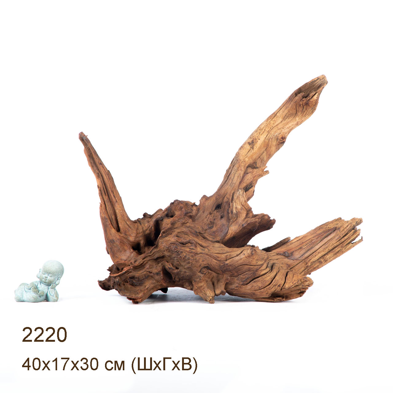 Коряга MASHA BLOOM "Железное дерево" затонувшая мангровая отборная 2220