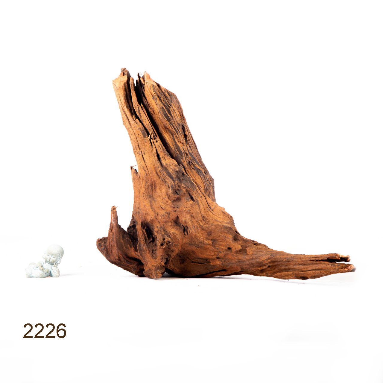 Коряга MASHA BLOOM "Железное дерево" затонувшая мангровая отборная 2226