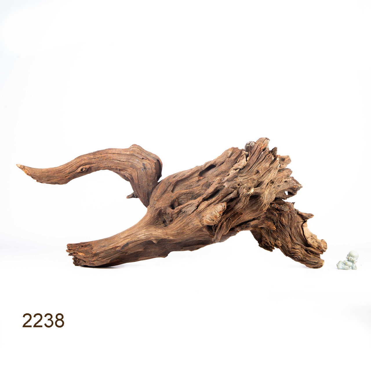 Коряга MASHA BLOOM "Железное дерево" затонувшая мангровая отборная 2238