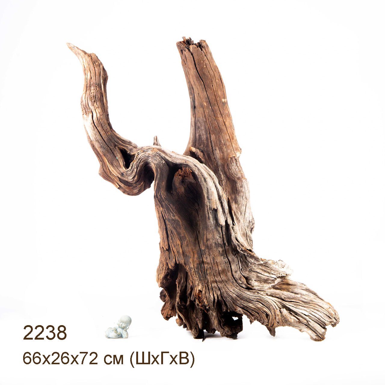 Коряга MASHA BLOOM "Железное дерево" затонувшая мангровая отборная 2238