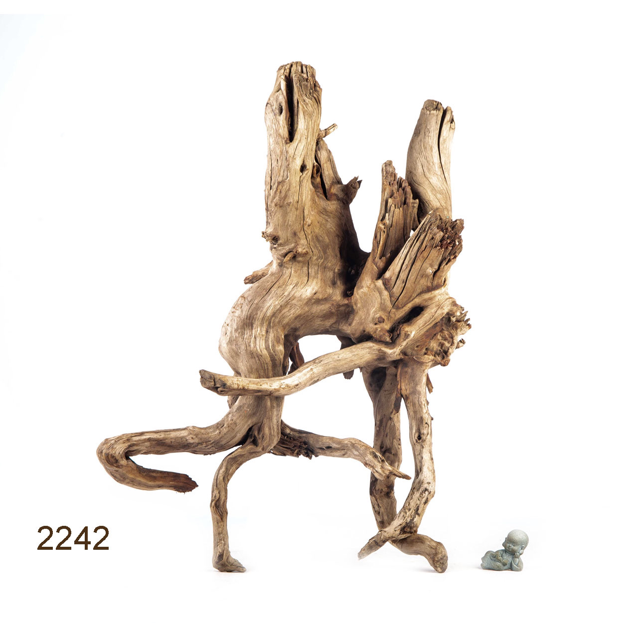 Коряга MASHA BLOOM "Железное дерево" затонувшая мангровая отборная 2242