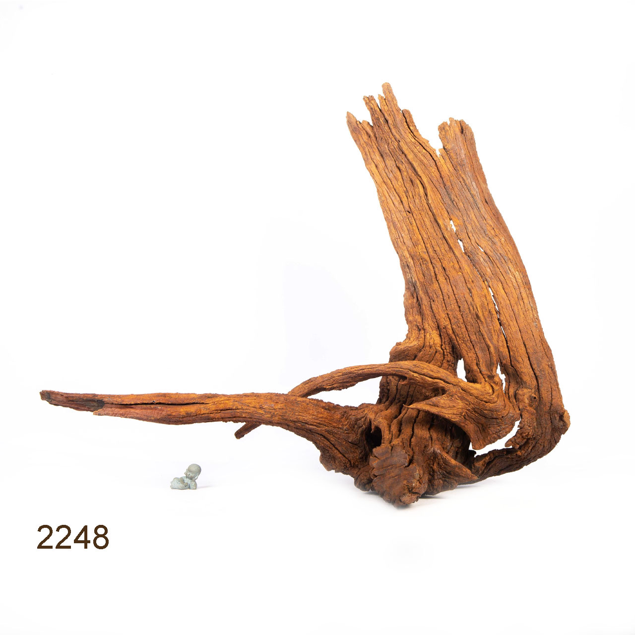 Коряга MASHA BLOOM "Железное дерево" затонувшая мангровая весовая 2248