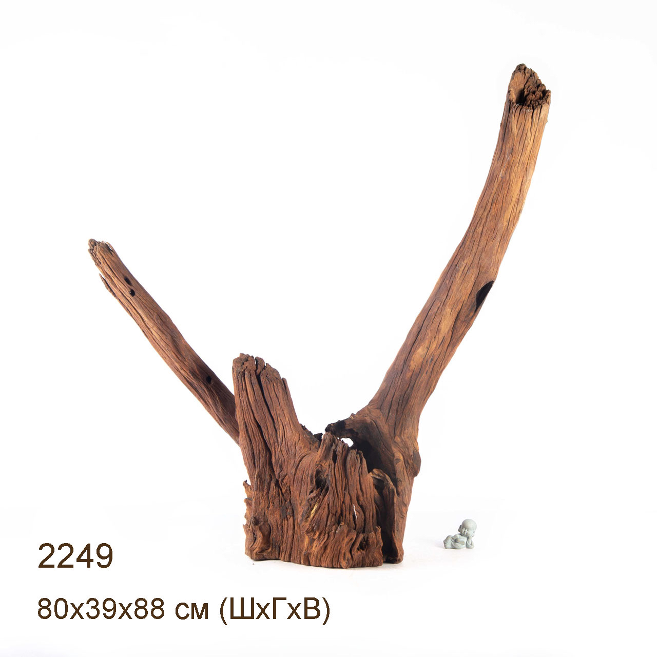 Коряга MASHA BLOOM "Железное дерево" затонувшая мангровая весовая 2249